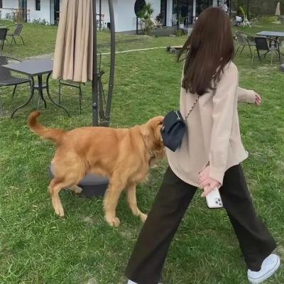 逆袭归来:我的废柴老婆